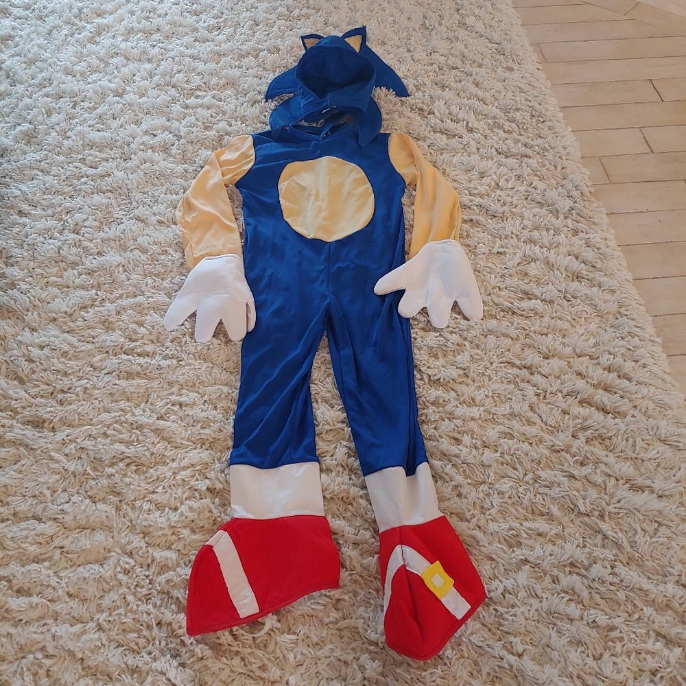 Sonic the Hedgehog Costume